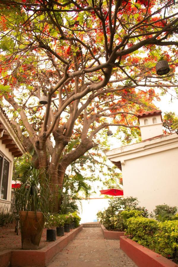 Casa Maria Emilia Hotel Cuernavaca Luaran gambar